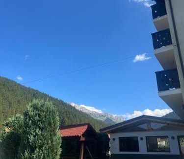 Moeciu de Sus Villa | Bucegi Panorama