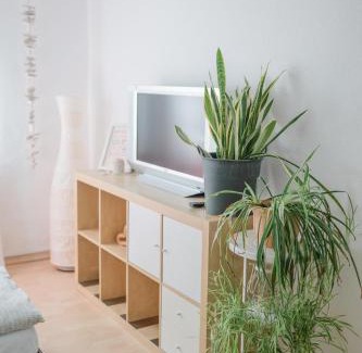 Breitscheid Bed & Breakfast | BUCHLINDENWEG - Zimmer & Ferienwohnung