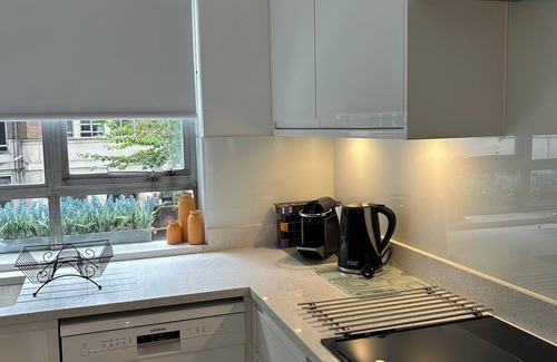 Westminster Apartment | Buckingham Palace Apartment with early check-in and late check-out