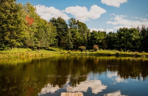 Bloomville House | Bucolic 3BR home with Guest Cabin and Pond on 20+ Acres of Sublime Privacy