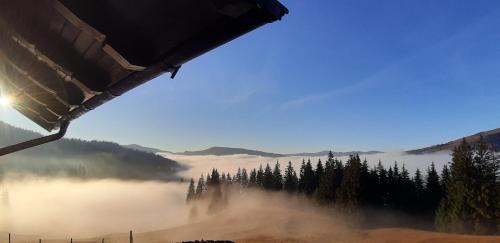 Gura Humorului House | Bucovina Sky View