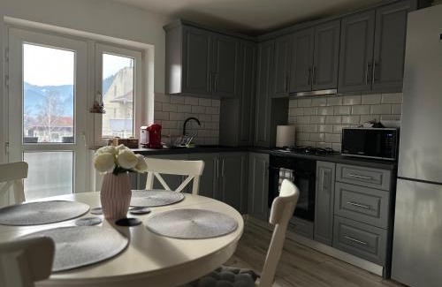 Campulung Moldovenesc Apartment | Bucovina View apartment