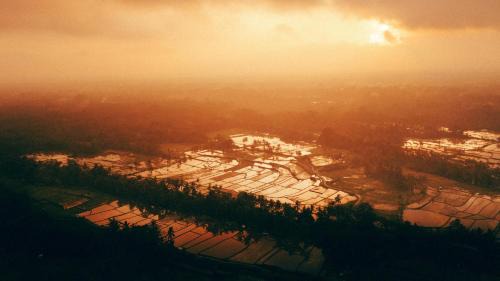 Payangan House | bucu hidden guest house, and meditation center