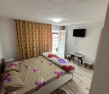 Curtea De Arges House | Budan 3 Rooms