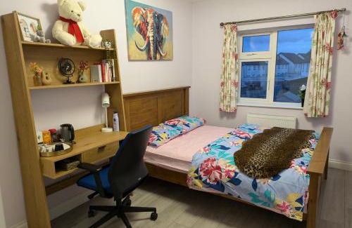 Limerick House | Budget Friendly King Room, Limerick
