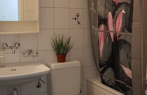 Lucerne Apartment | Budget Friendly Studio Type Apt in central Luzern