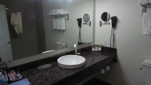Palmyra Hotel | Budget Inn Palmyra