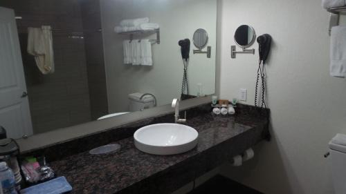Palmyra Hotel | Budget Inn Palmyra