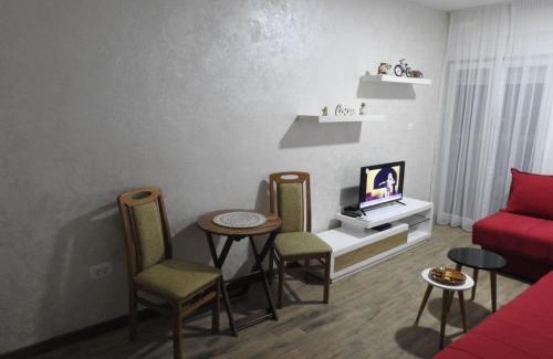 Golubovina Apartment | Budva studio apartman