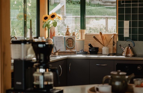 Coromandel Bed & Breakfast | Buffalo Lodge