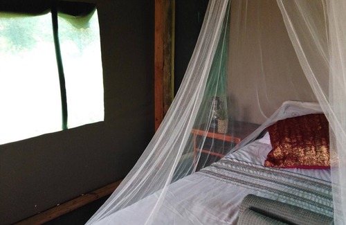 Kruger National Park Cabin | Buffalo Tented Lodge