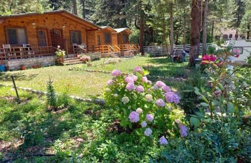 Orikum Hotel | Bujtina Uji I Panjes, LLOGARA