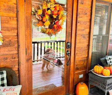 Sky Valley House | Bumble Bee Cabin