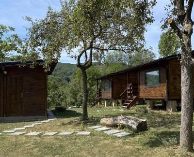 Baile Olanesti Other | Bungalouri Olanesti