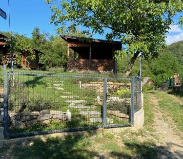 Baile Olanesti Other | Bungalouri Olanesti