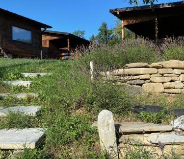 Baile Olanesti Other | Bungalouri Olanesti