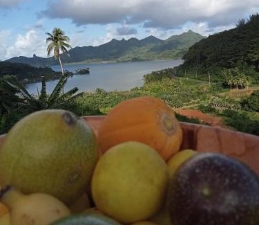 Huahine House | Bungalow Belle Vue