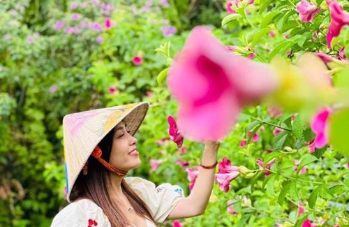 U Minh Apartment | Bungalow - Farmstay Hoa Rừng U Minh