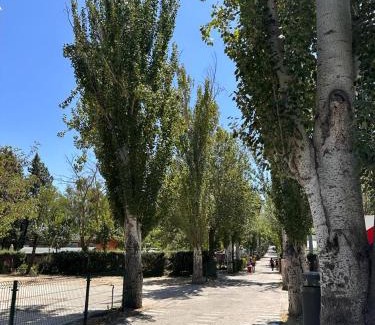 Getafe Other | Bungalows Alpha