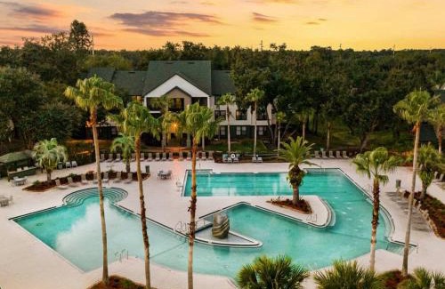 Bearss Plaza Apartment | Busch Gardens USF 10 MI to DT Tampa