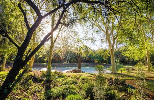 Phalaborwa Villa | Bush Villas on Kruger