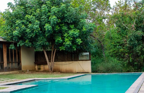 Manzini District Bed & Breakfast | Bushbaby Lodge at Nkonyeni