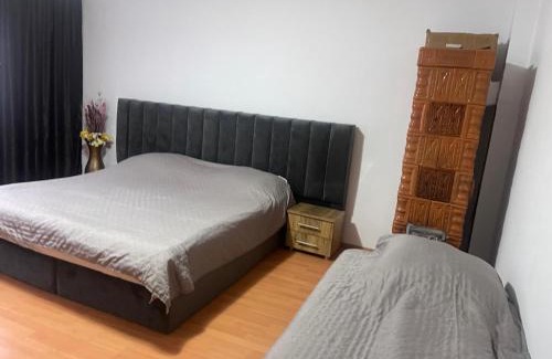 Baile Herculane Apartment | Butoianu Spate I