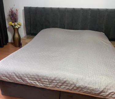 Baile Herculane Apartment | Butoianu Spate I