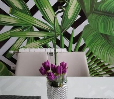 Cacak Apartment | Butterfly