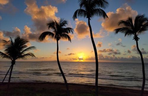 Candelero Abajo Apartment | BV103 - Amazing Oceanfront Condo steps from beach