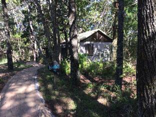 Byron Bay Resort | Byron Bay Rainforest Resort