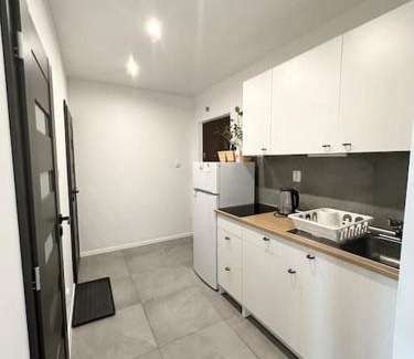 Ostrava Apartment | Byt 2 kk s balkónem v Ostravě