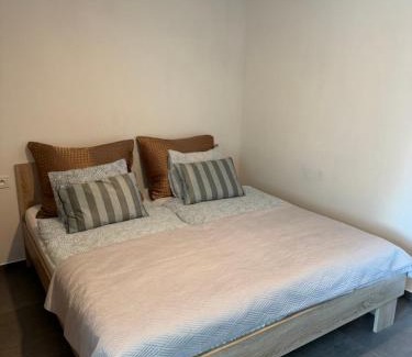 Nedvezi u Rican Apartment | Byt apartman 73m2 Klid příroda Parking FREE