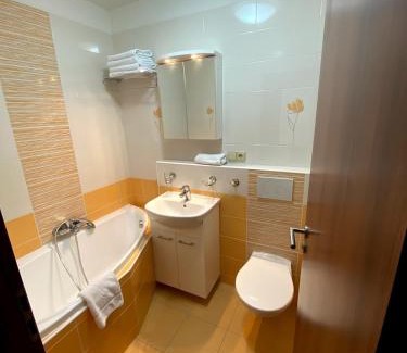 Horni Mala Upa Apartment | Byt Malá Úpa
