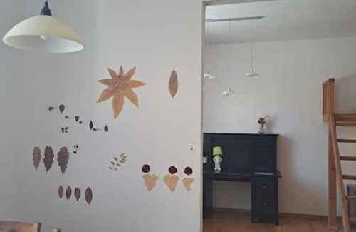 Ceske Budejovice Apartment | Byt u centra