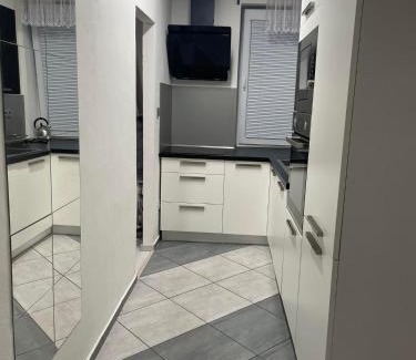 Krasna Lipa House | Byteček v rodinném domečku se sdíleným vchodem