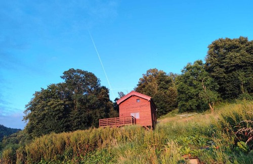 Basse-sur-le-Rupt Ski Chalet | Célestin's cabin