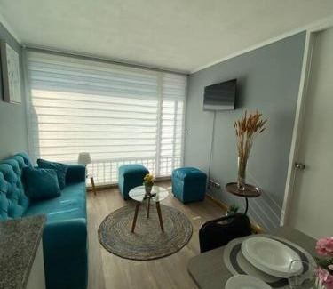 Concepcion Apartment | Cómodo departamento céntrico