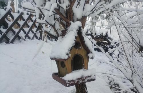 Zarnesti House | Căsuța din CRAI
