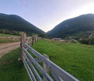 Zarnesti House | Căsuța Piatra Craiului