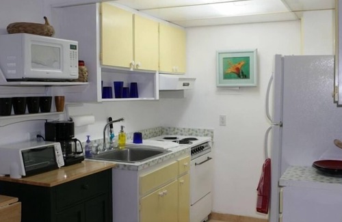 Williams Town Condo | C. B. 1503 - Beachfront Bahamas Freeport Port Lucaya Tropical Paradise!