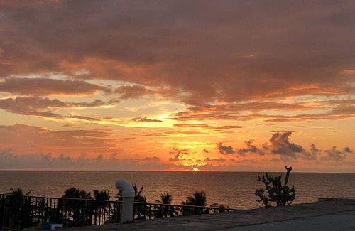 Williams Town Condo | C. B. 1503 - Beachfront Bahamas Freeport Port Lucaya Tropical Paradise!