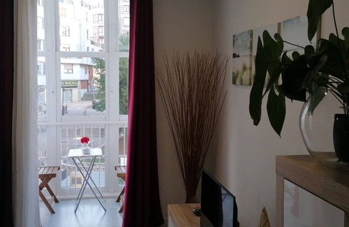 Santander Apartment | C/BURGOS! PISAZO EN CALLE PEATONAL