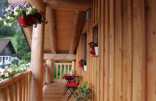 Hallstatt House | C.T.N. Loghouse