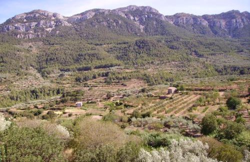 Pauls House | Ca les Barberes