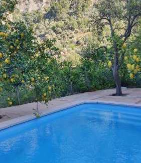 Soller House | Ca Na Menga