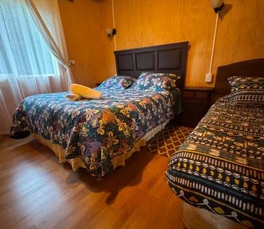 Chaiten Apartment | "Cabaña A y M"
