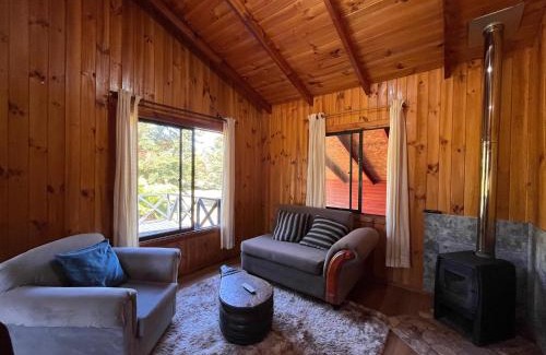 Panguipulli House | Cabaña campestre con amplio espacio natural