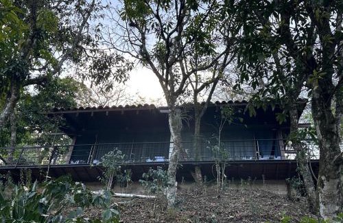 Pahuatlan del Valle Ski Chalet | Cabaña de Vidrio en el Bosque