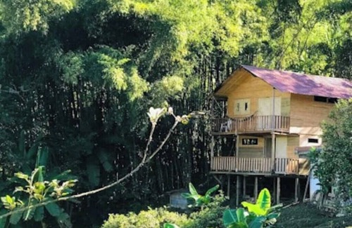 Medellin Cabin | Cabaña en Finca Cafetera Cerca a Medellín